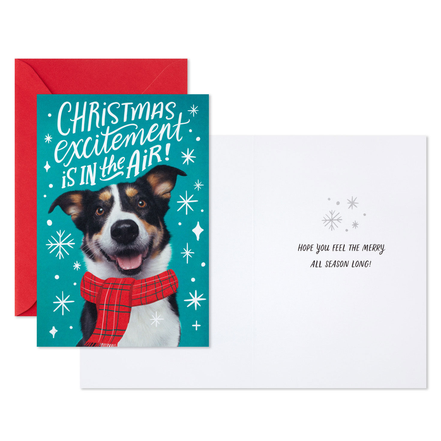 Christmas Excitement Boxed Christmas Cards, Pack of 16, , large image number 3