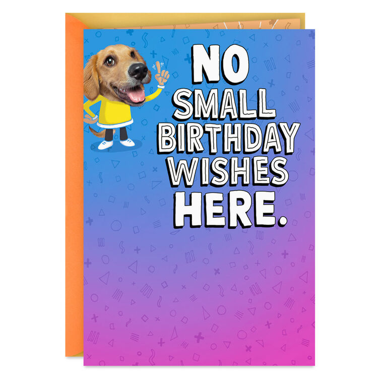 Silly Dog Funny Pop-Up Birthday Card, , large image number 1