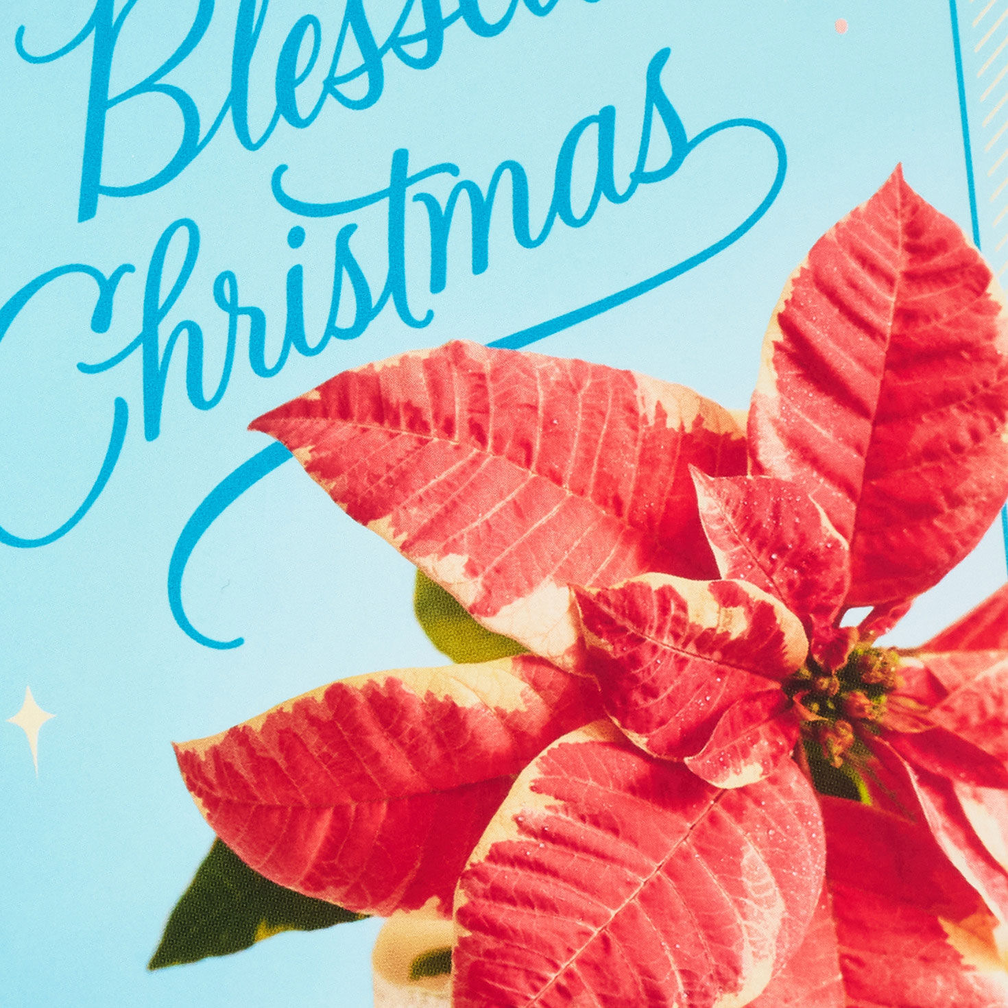 Poinsettia on Blue Boxed Christmas Card Pack cover detail image number 5