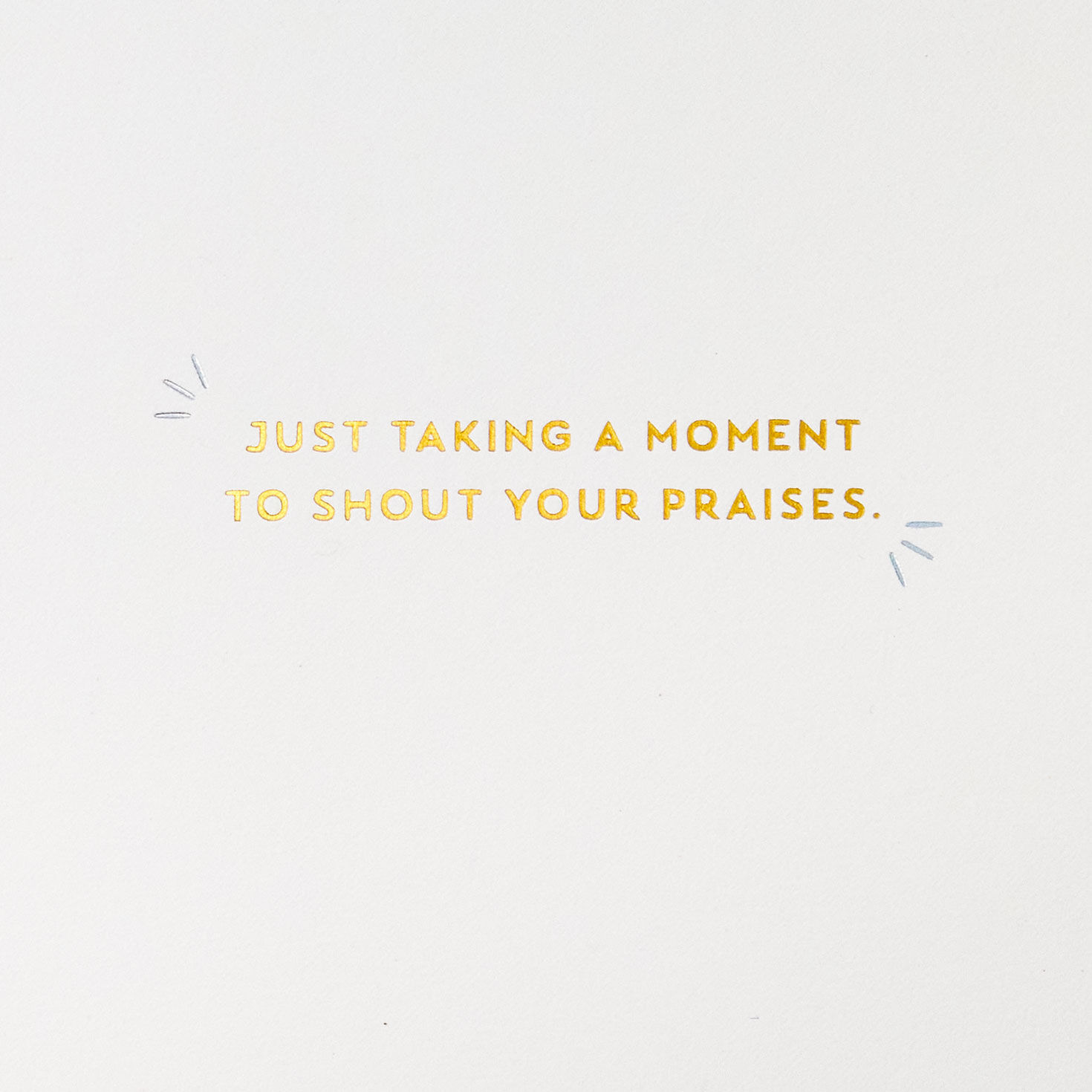 Rainbow Megaphones Appreciation Card sentiment image number 2