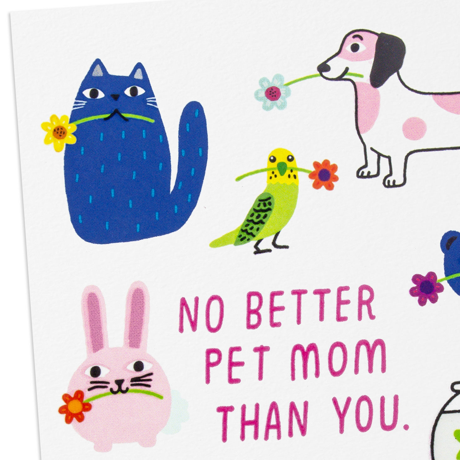 Cute Animals Pet Mom Mother's Day Card Card Front Detail image number 4