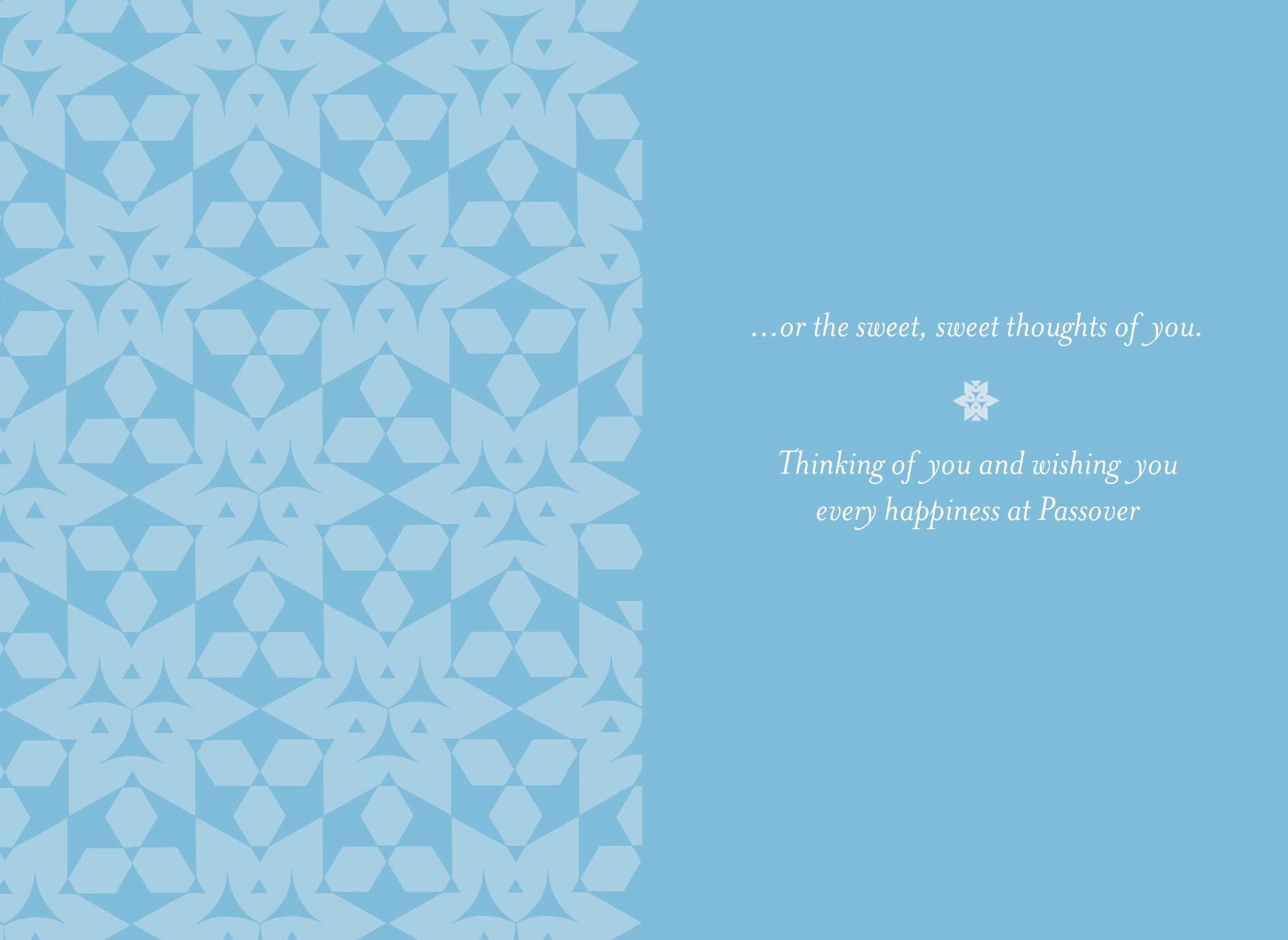 Seder Thoughts of You Passover Card