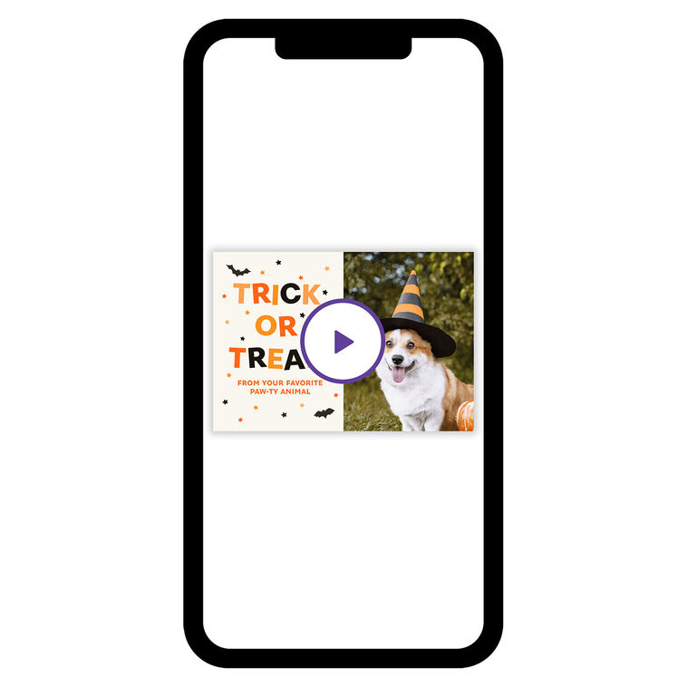 Trick or Treat Paw-ty Animal Halloween eCard