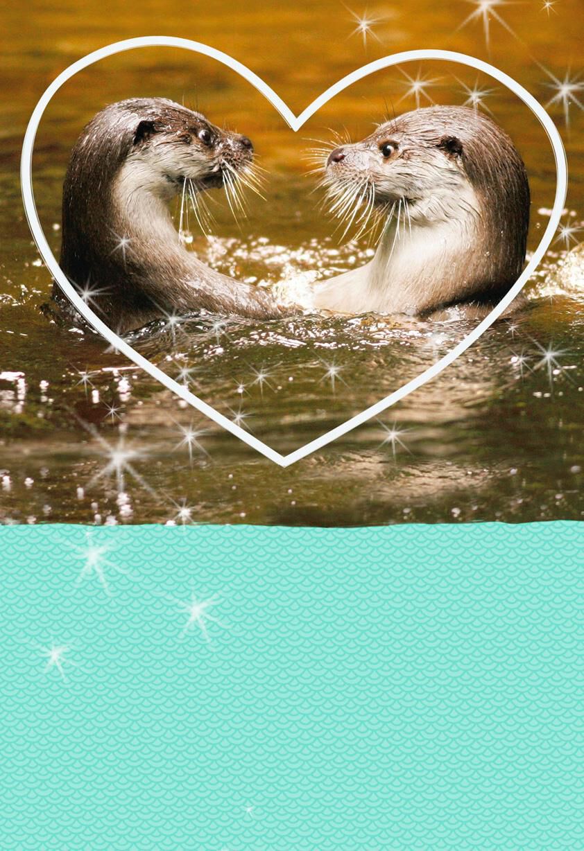 Meant for Each Otter Love Card