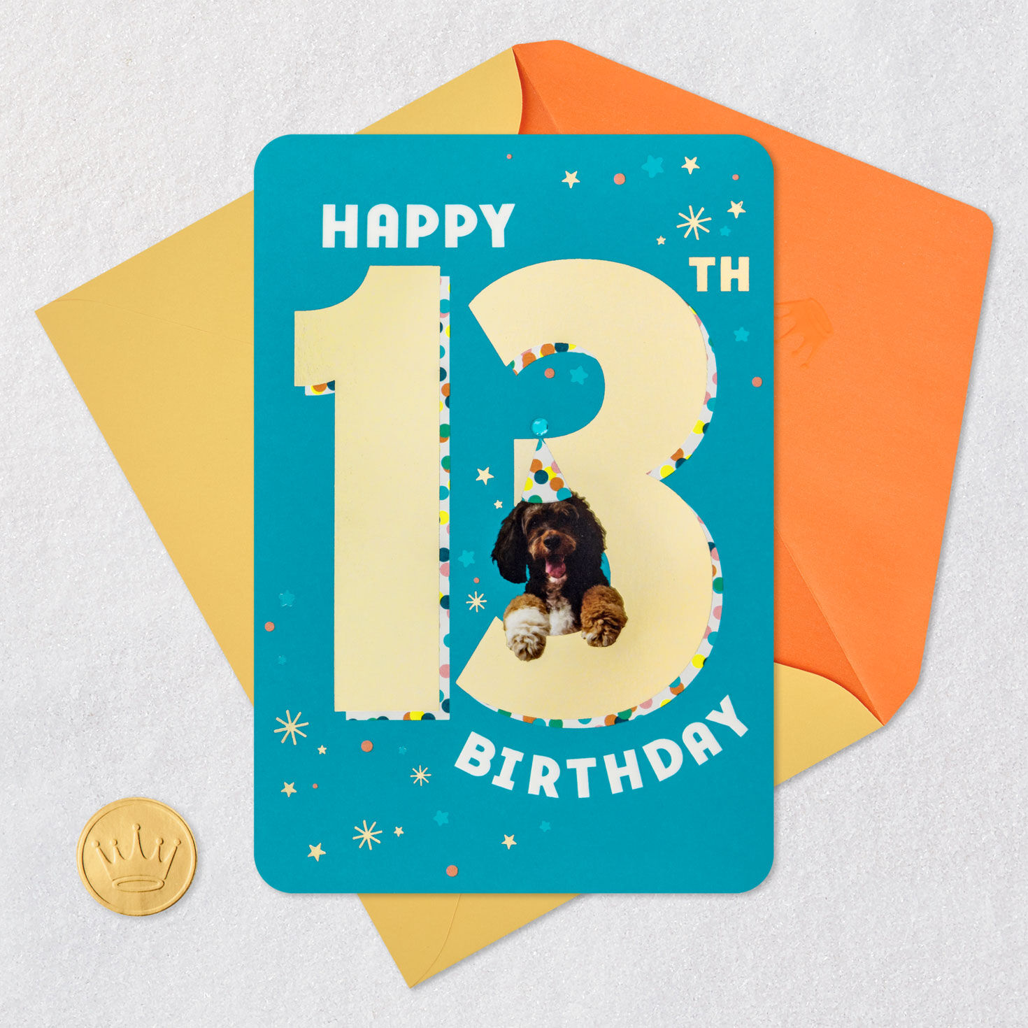 Dog in Party Hat 13th Birthday Card Card Front with Envelope and Gold Seal image number 5