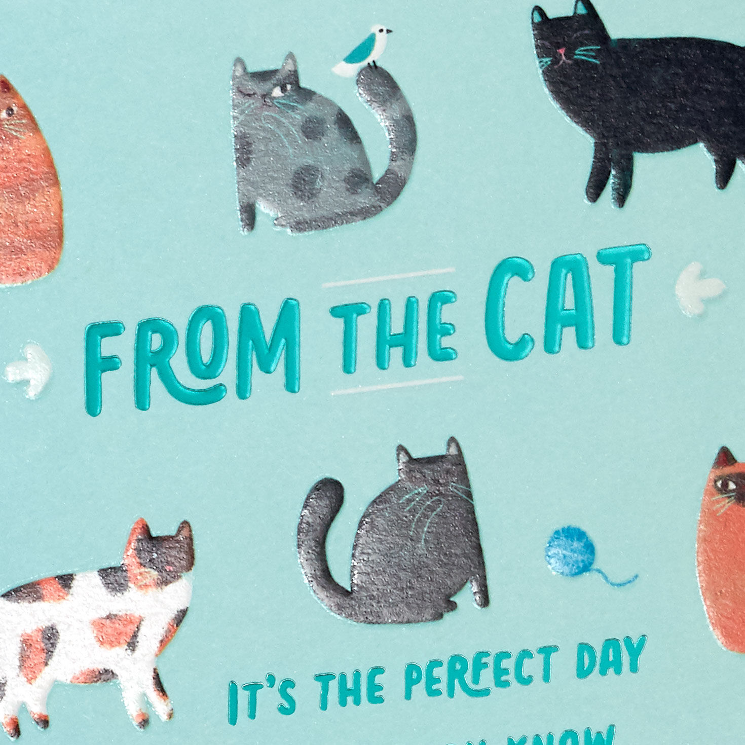 Collection of Kitties Mother's Day Card from Cat card front detail image number 4