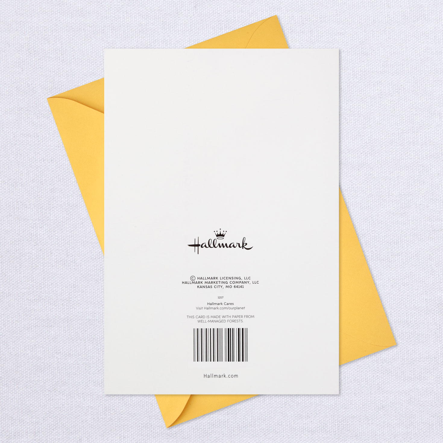 You Stand Out Birthday Card With Hair Clip and Extensions, , large image number 8