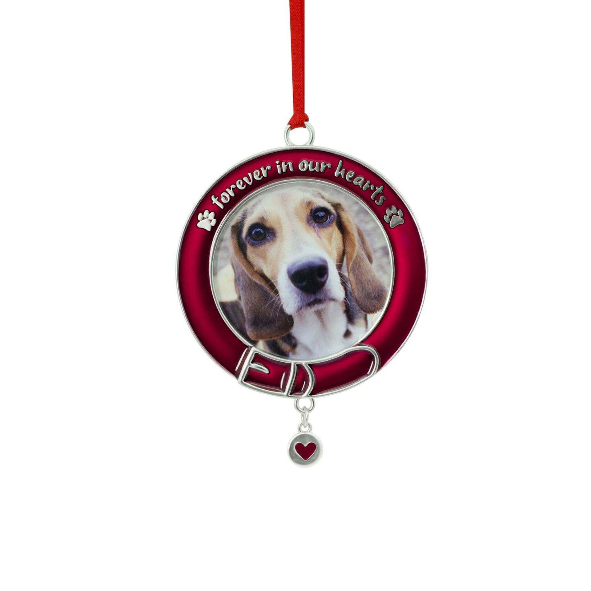 Hallmark Keepsake Christmas Ornament 2021 Pet Memorial Pet Memorial Photo Frame Hallmark Ornament Gift Ornaments Hallmark