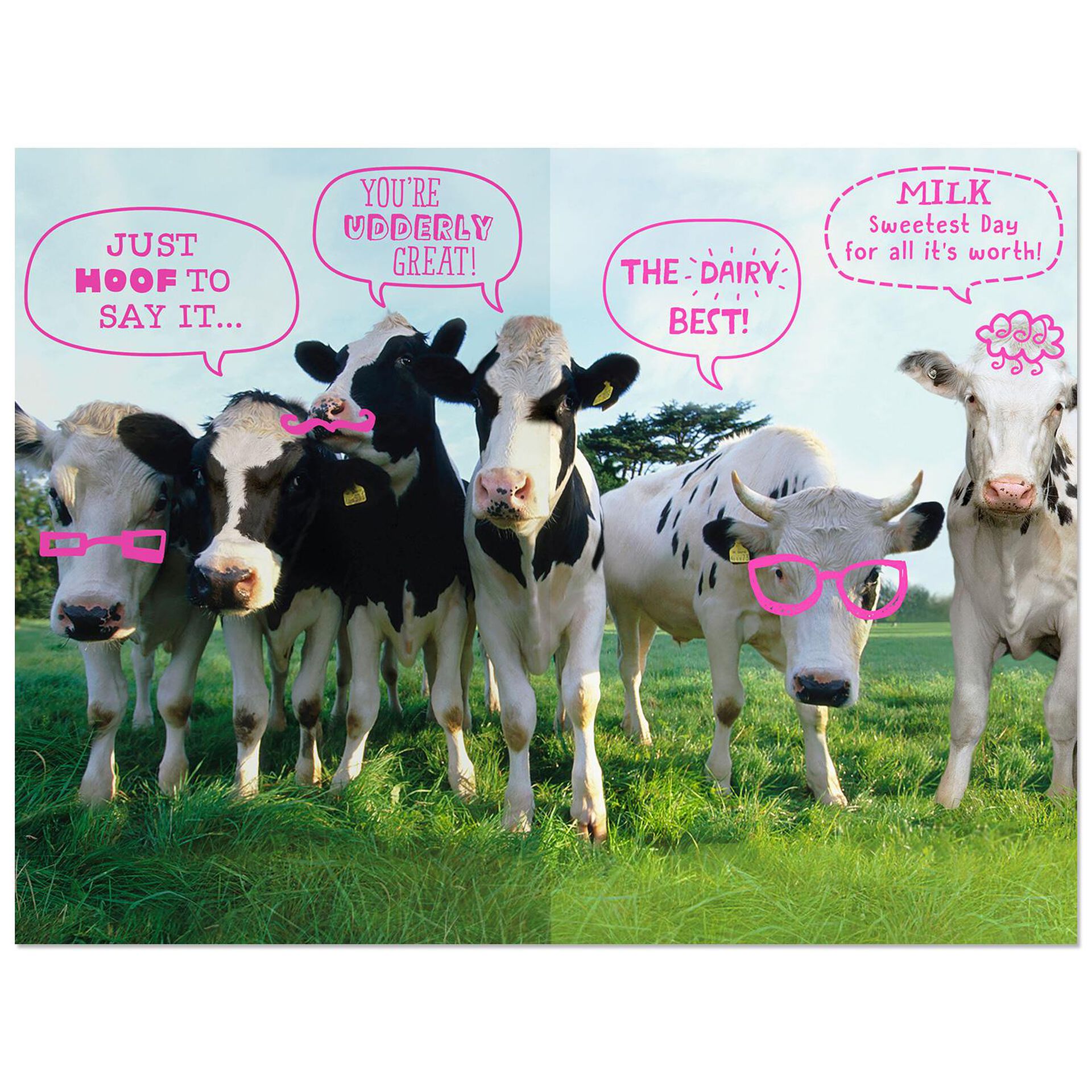 Comment On Dit Vache En Anglais