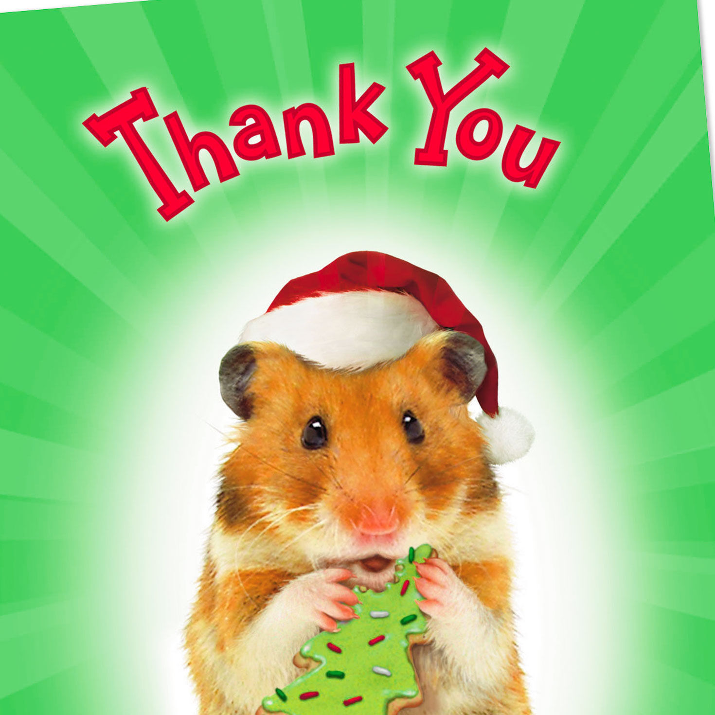 Happy Hamster Christmas Thank-You Cards, Pack of 6, , large image number 4