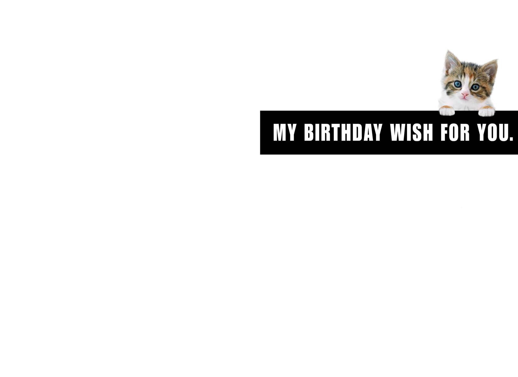 All the Kittens Funny Birthday Card