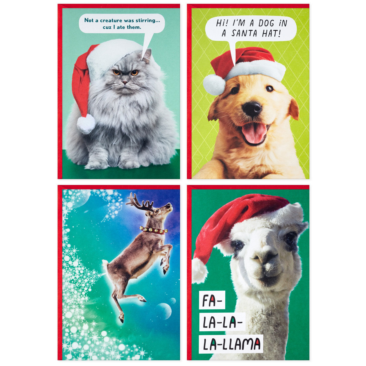 Funny Animals Boxed Christmas Card Pack card fronts flat image number 2