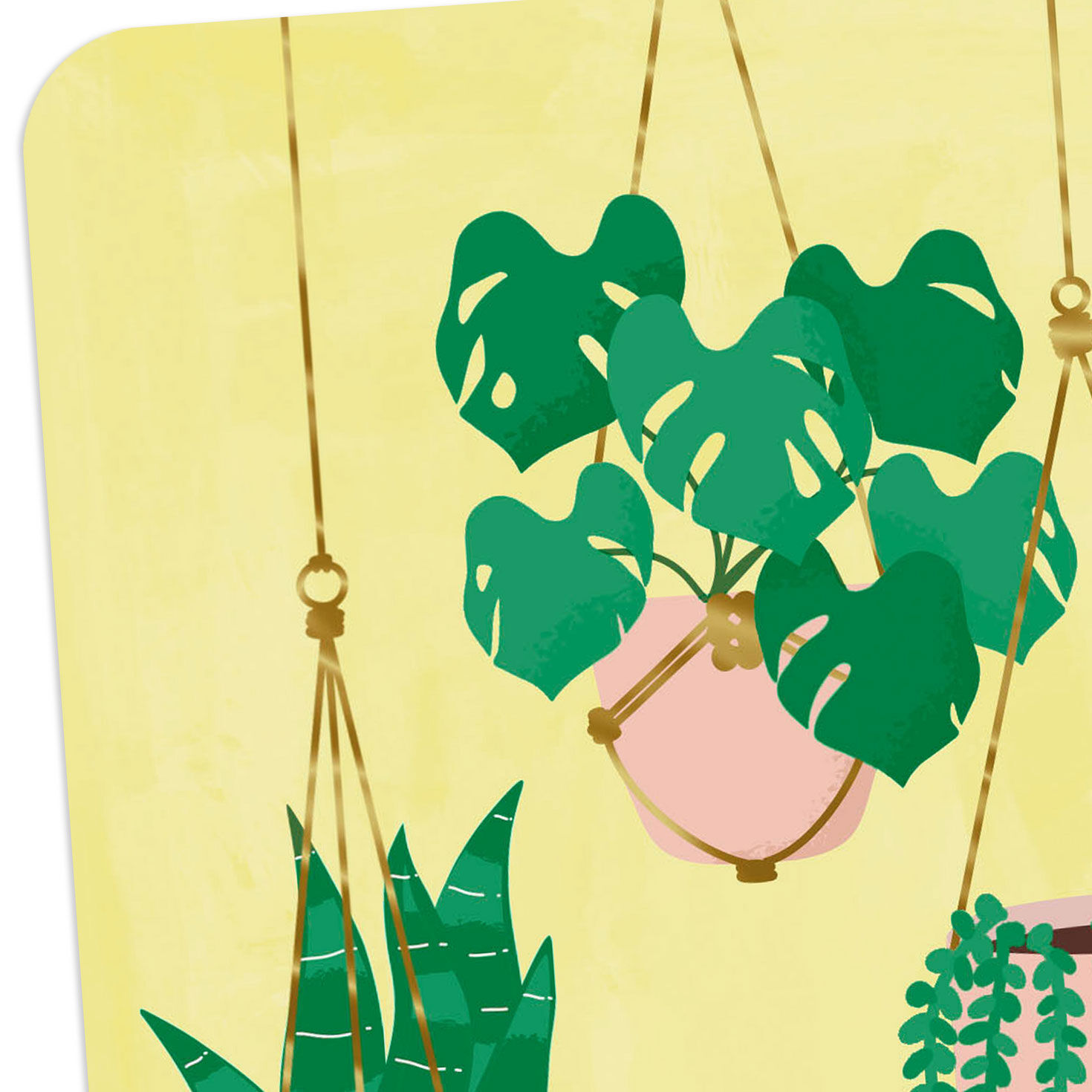 Houseplants in Hanging Baskets Blank Card Card Front Detail image number 3