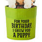Puppy in a Pot Funny Pop-Up Birthday Card, , large image number 4