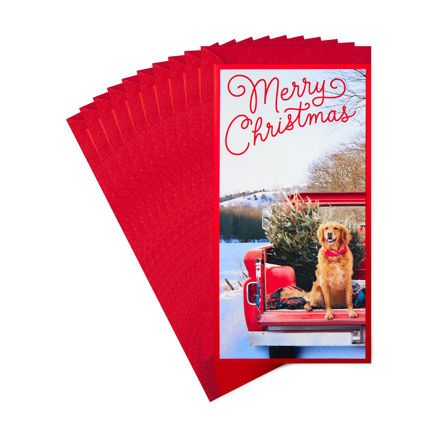 Dog and Tree in Red Truck Money Holder Christmas Cards, Pack of 10, , large image number 1