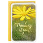 3.25" Mini Hope You're Having a Good Day Thinking of You Card, , large image number 3