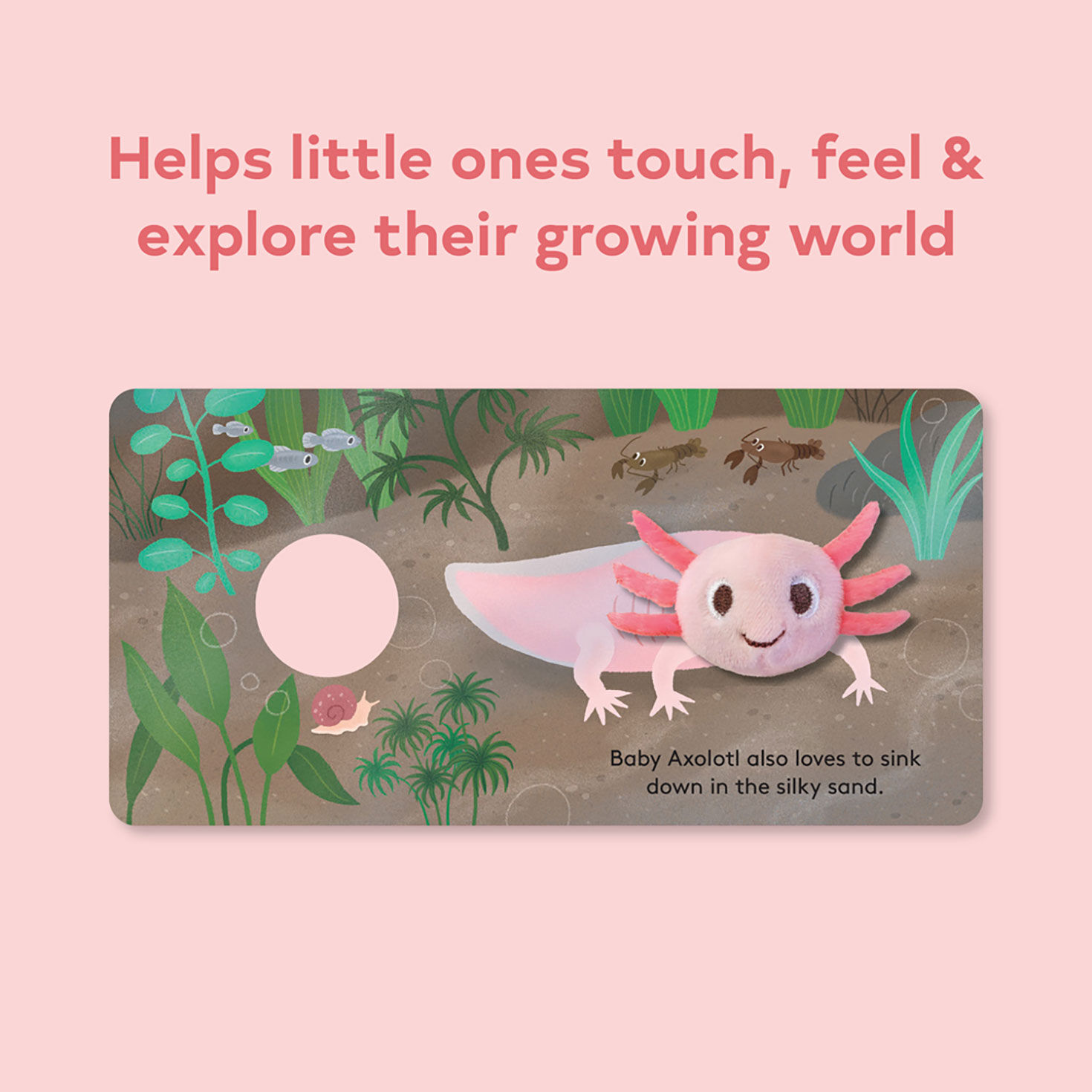 Baby Axolotl Finger Puppet Board Book inside spread image number 3