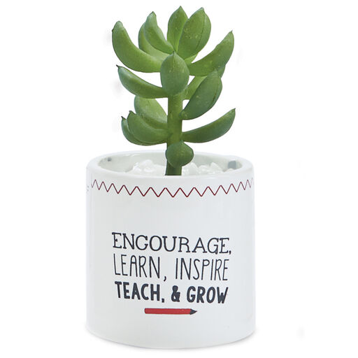 Mud Pie Encourage Teach Grow Faux Succulent Planter, 