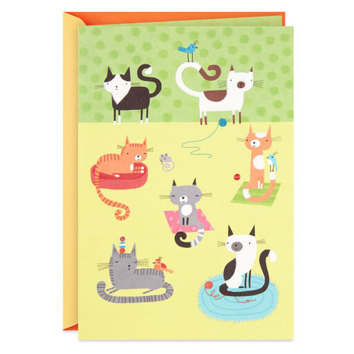 Cute Cats Blank Card, 