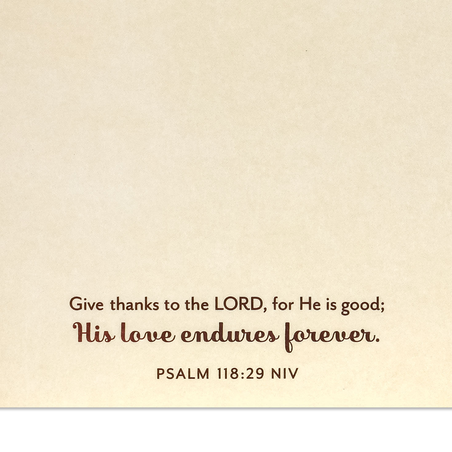 Yellow Flowers Religious Thanksgiving Card for Family scripture image number 3