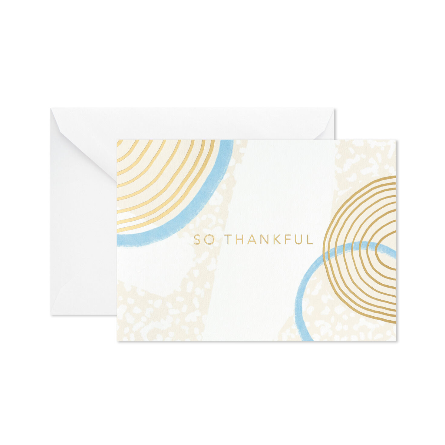 So Thankful Thank-You Notes, Box of 10 for only USD 9.99 | Hallmark