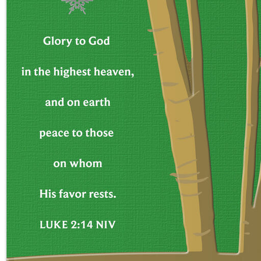 You're Appreciated Religious Christmas Card, 
