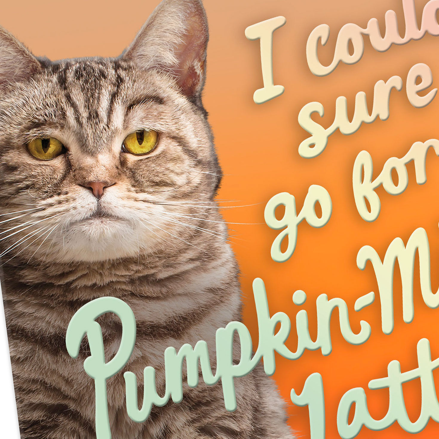 Brown Tabby Cat Funny Halloween Card  image number 4