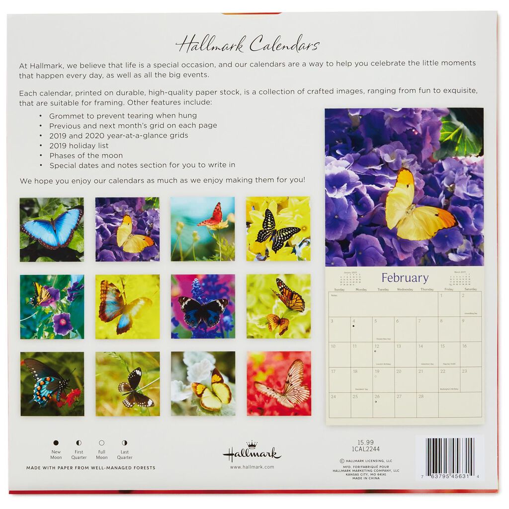 Butterflies 2019 Wall Calendar, 12-Month - Calendars - Hallmark