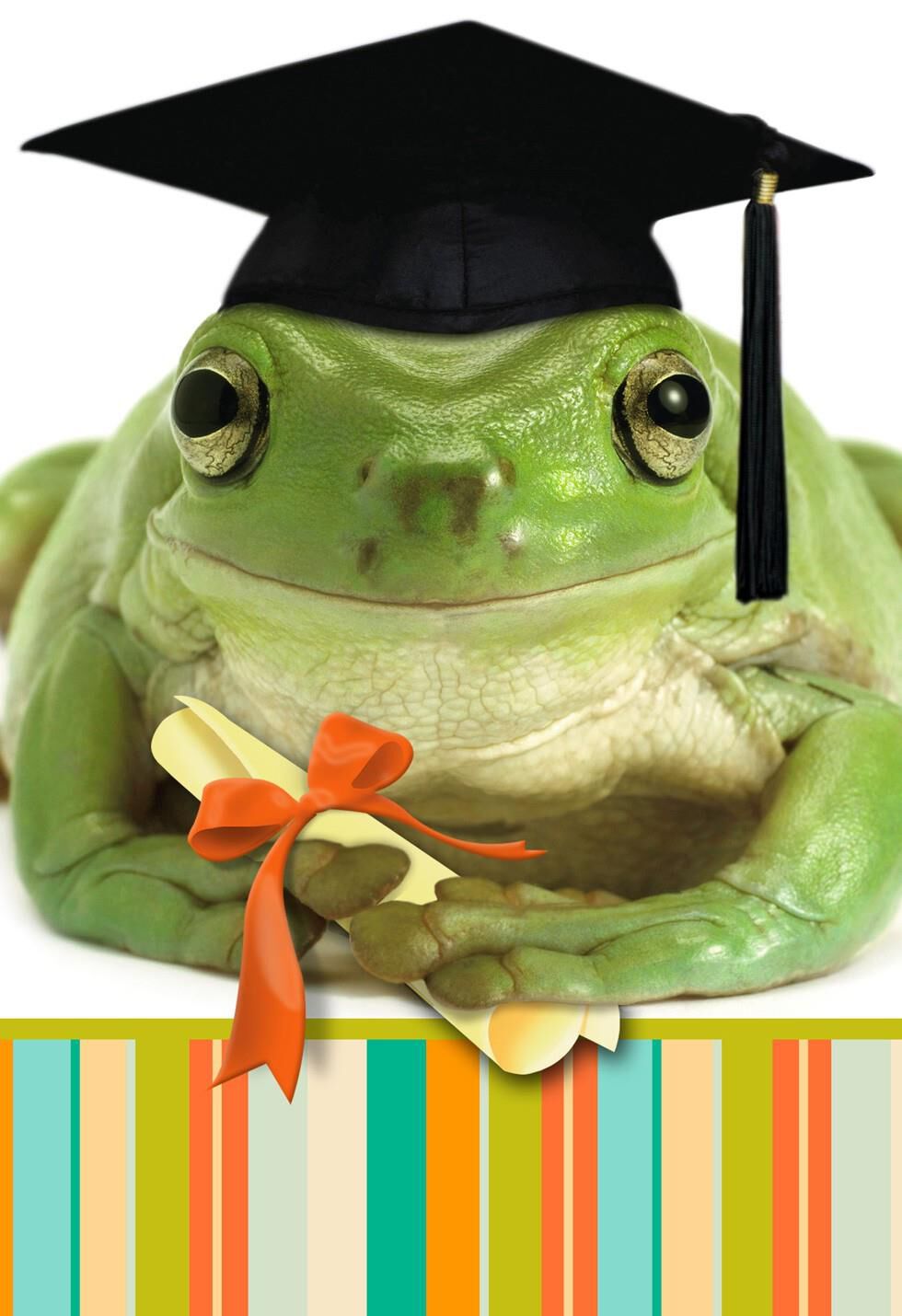 You Did it! Frog Graduation Card