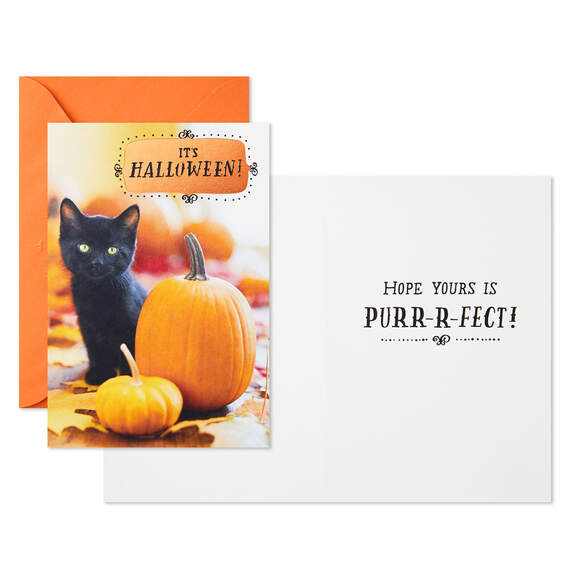 Black Kitten With Pumpkins Halloween Cards, Pack of 6, , large image number 2