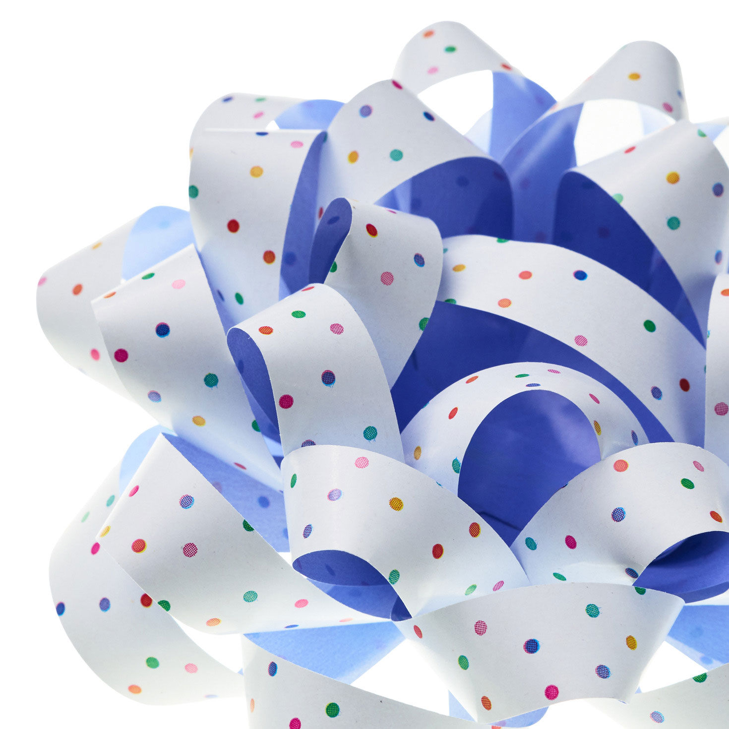 White With Dots and Periwinkle on Reverse Gift Bow upclose view image number 4