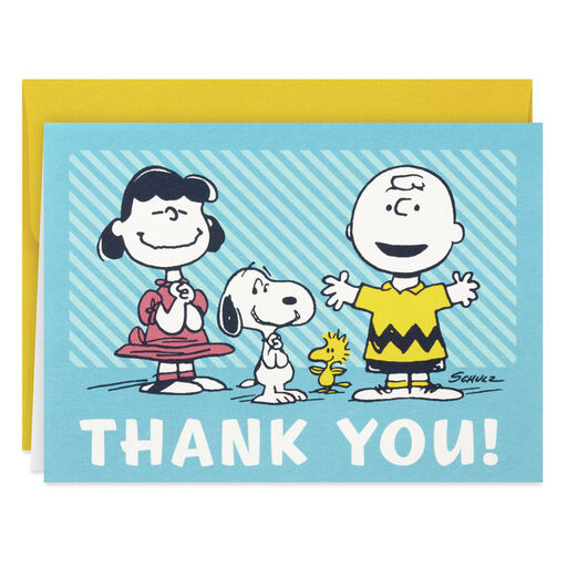 Peanuts® Charlie Brown, Lucy and Snoopy Boxed Blank Thank-You Notes, Pack of 10, 