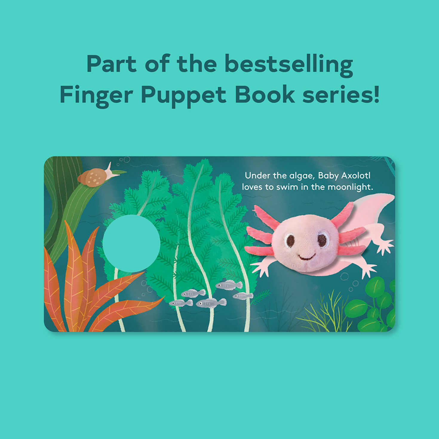 Baby Axolotl Finger Puppet Board Book inside spread image number 4