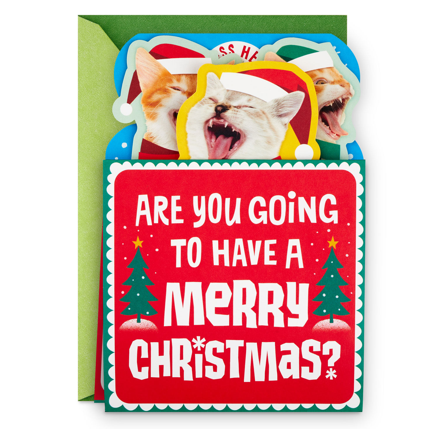 Caroling cats shop