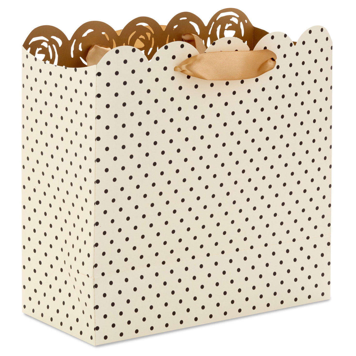 Rose Pattern and Polka-Dot Large Square Gift Bag Back image number 4