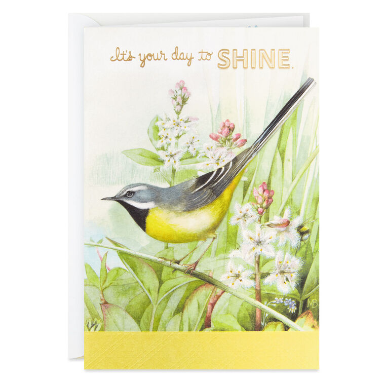 Marjolein Bastin It's Your Day to Shine Birthday Card