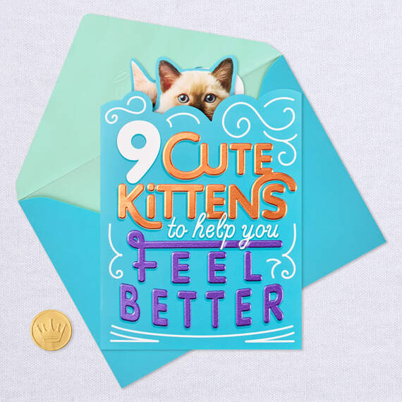 Cute Kittens Funny Get Well Card, , large image number 6