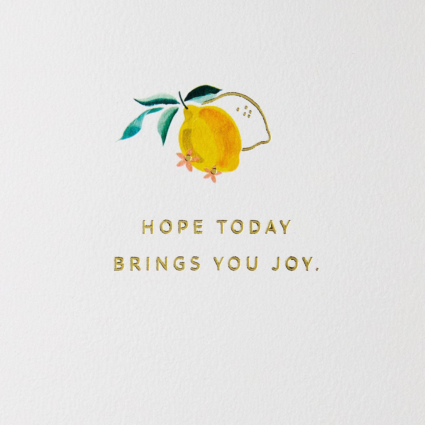 Painted Lemons Birthday Card Sentiment image number 2