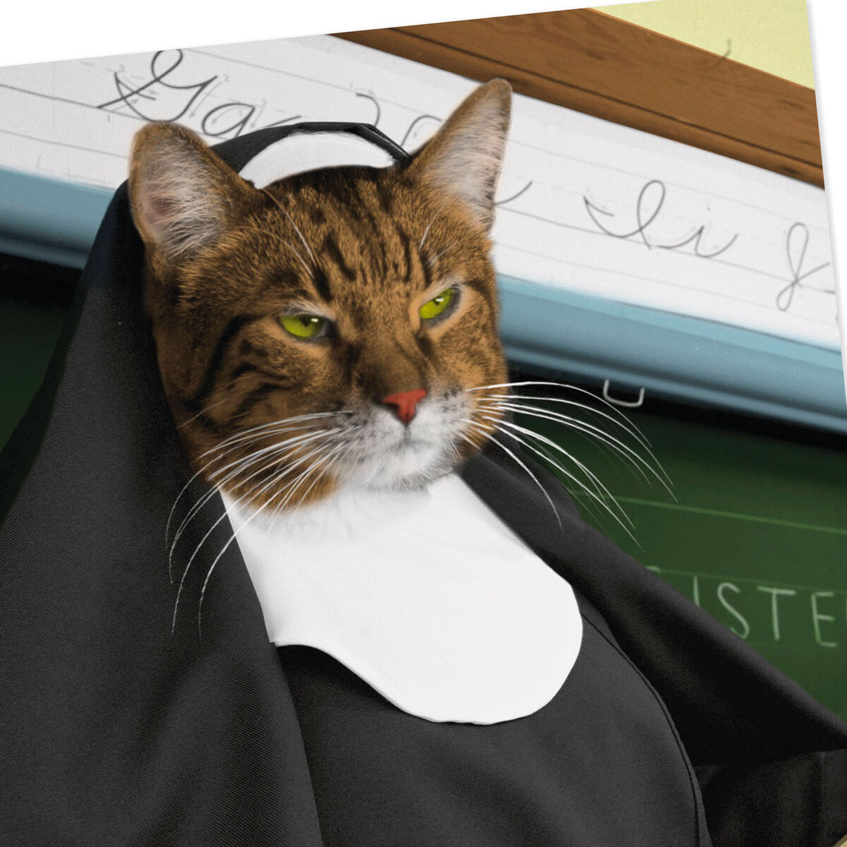 How to make a valentine's day pop up card: spiral heart Cat Nun Pun Funny Birthday Card - Greeting Cards - Hallmark