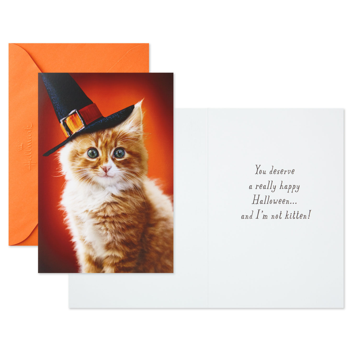 Pumpkins and Witches Assorted Halloween Cards, Pack of 8, , large image number 6