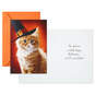 Jack-o'-Lanterns and Witches Assorted Halloween Cards, Pack of 8, , large image number 6