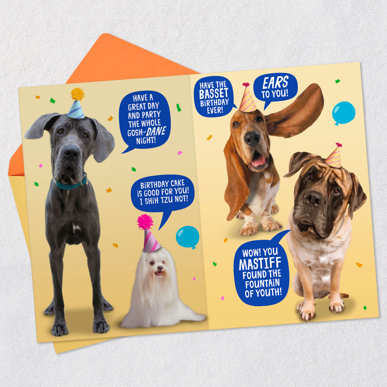 Punny Dogs in Party Hats Funny Birthday Card Open card with envelope image number 4