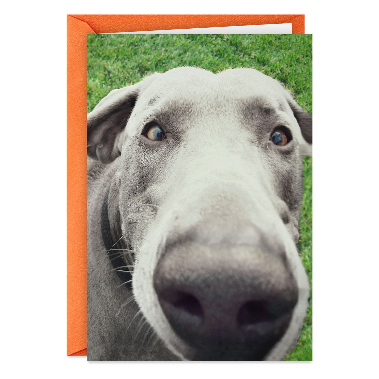 You Don't Smell Old Funny Birthday Card