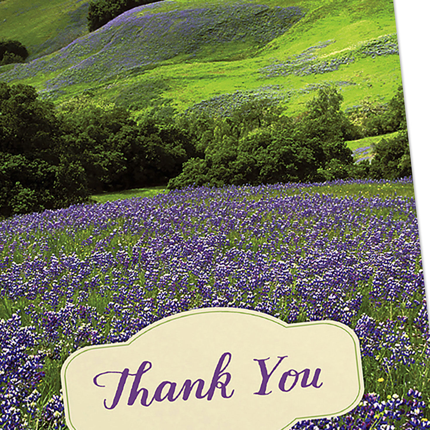 Landscapes DaySpring Thank You Cards Assortment Cover Detail image number 5