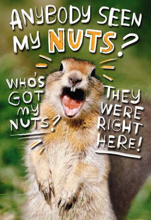 Go Nuts Funny 50th Birthday Card Greeting Cards Hallmark