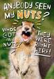 Go Nuts Funny 50th Birthday Card, , large image number 1