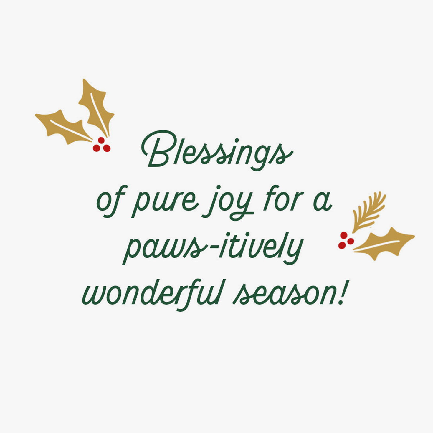 Funny Dog with Gifts Religious Christmas Card Sentiment image number 2