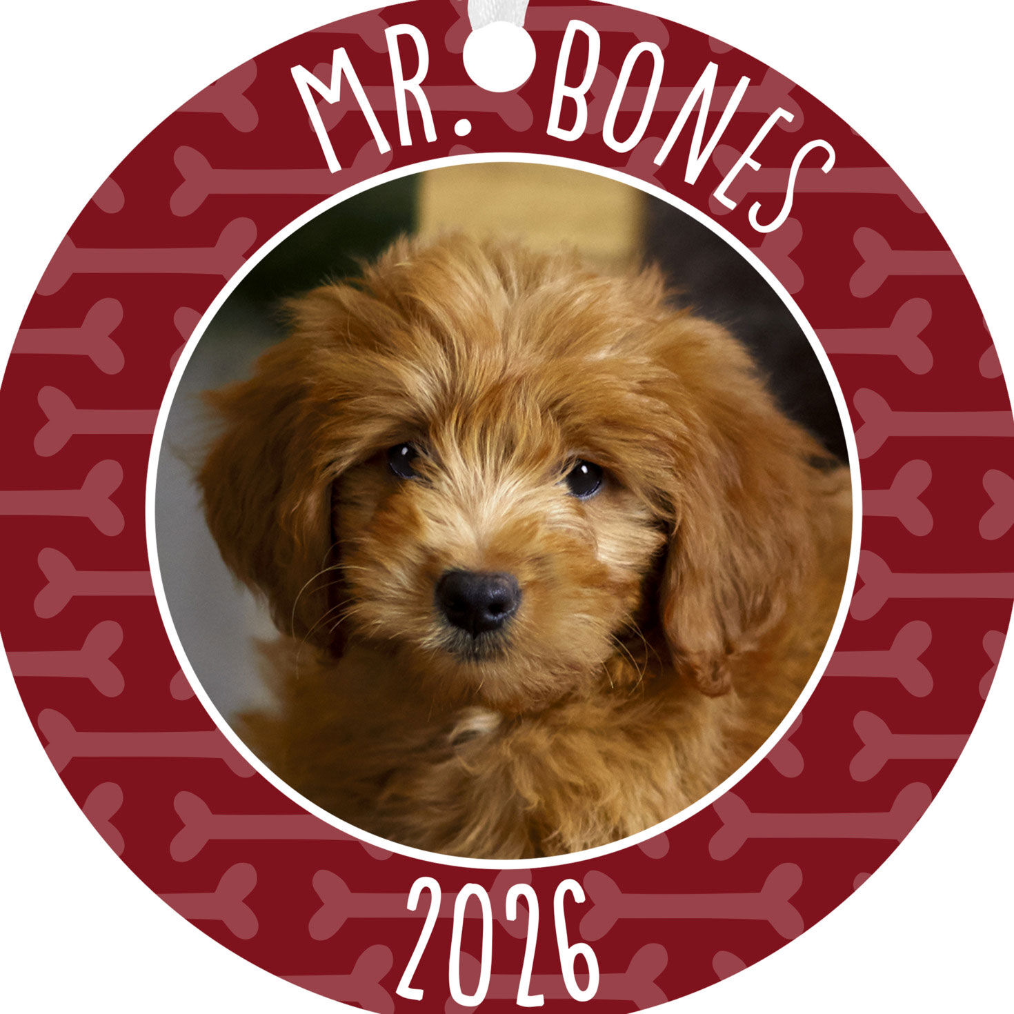 Pet Round Metal Personalized Ornament, Custom Photo and Text for only USD 17.99 | Hallmark