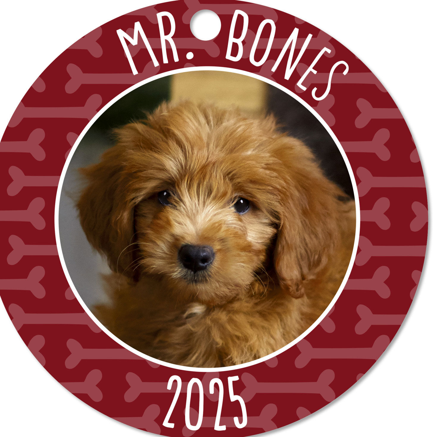 Pet Round Metal Personalized Ornament, Custom Photo and Text for only USD 17.99 | Hallmark