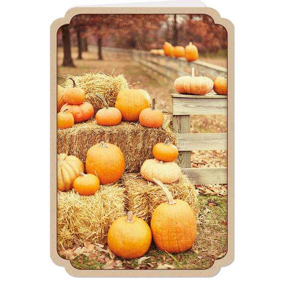 Pumpkin Fall Scenes Assorted Halloween Cards, Pack of 6, , large image number 4